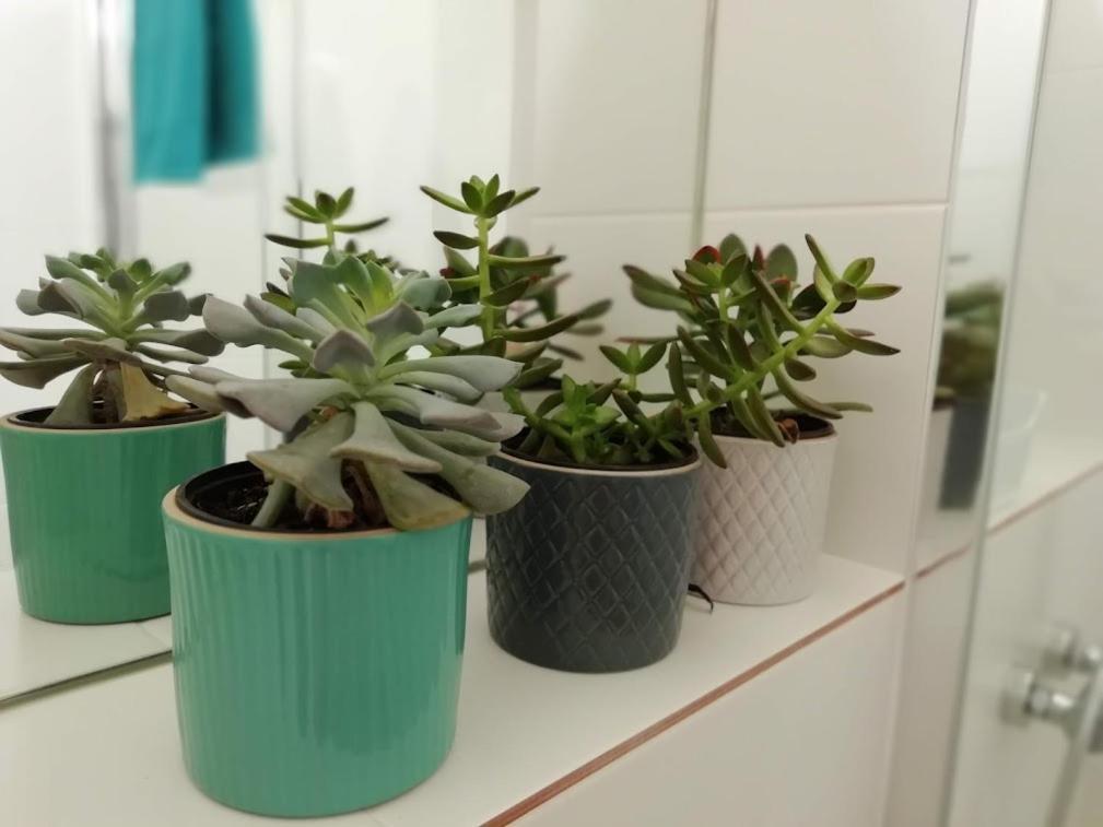 Suite Da Joaninha Caminha Eksteriør bilde
